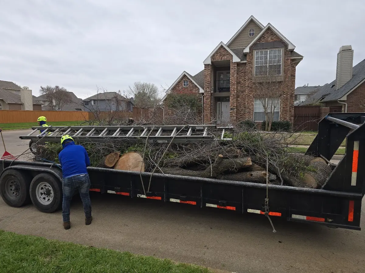 Expert Tree Pest Control with proper safety equipment in Vanduser